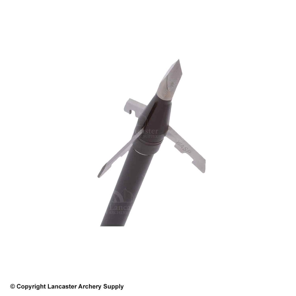 Wasp Jak-Hammer broadhead